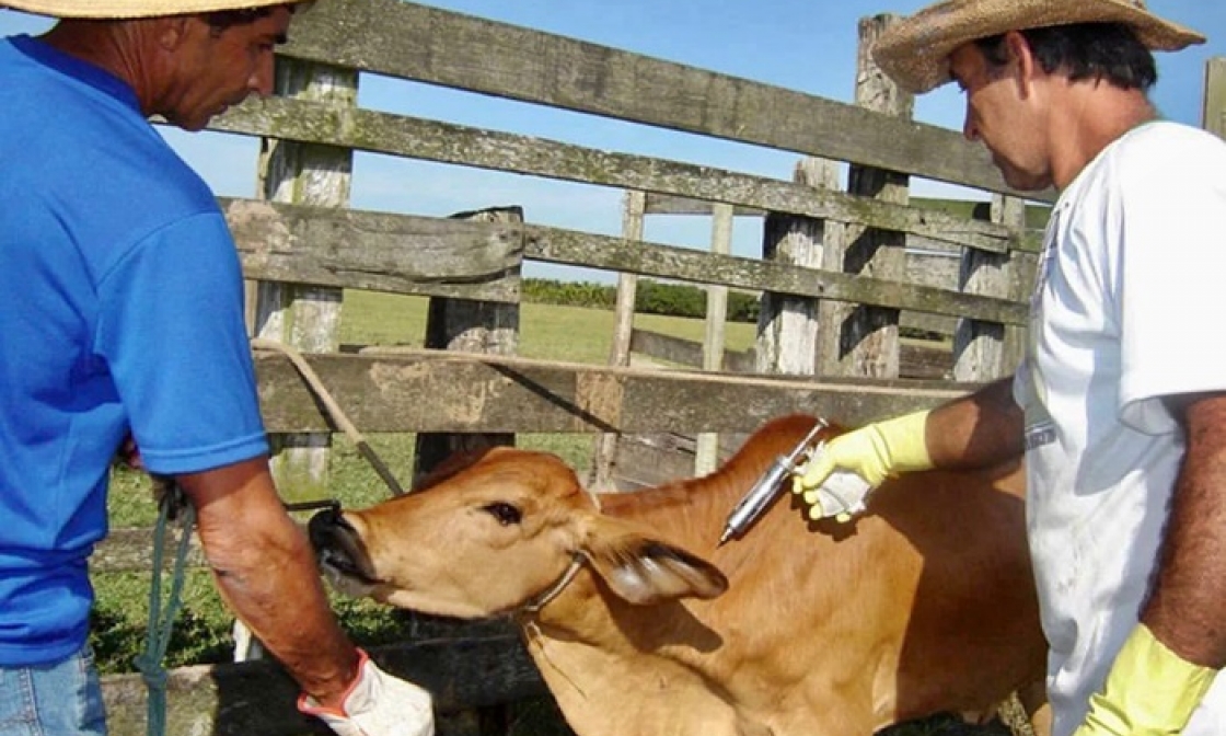 atenção-atenção!!!-comunicado-importante-aos-agropecuaristas-de-miradouro