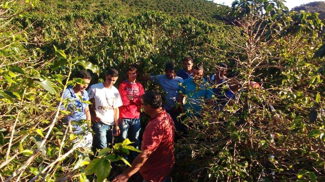 emater-faz-palestra-sobre-poda-de-cafe-e-recuperacao-do-solo-para-produtores-de-miradouro