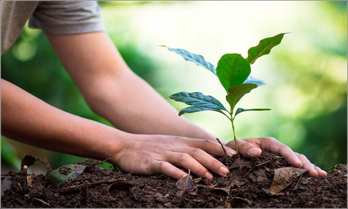 secretaria-de-agricultura-abre-inscricoes-para-o-projeto-pro-cafe-2023